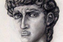 Michelangelo's David / 2003 / charcoal on paper / 18x24"